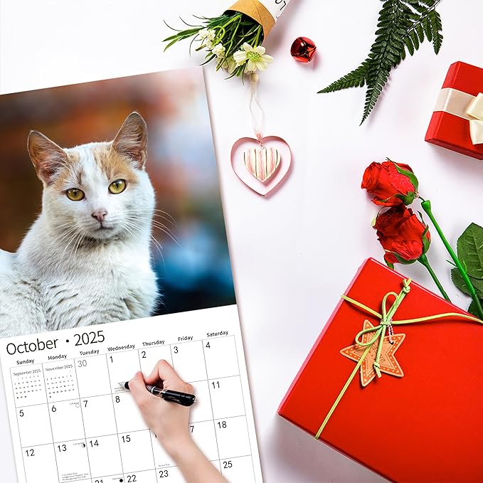 2025 Wall Calendar,Funny Calendar 2025, November 2024 - December 2025, Wall Calendar Funny Animal Memes, 12" x 24" Opened, Full Page 14 Months Thick Paper for Gift Calendar Organizing Planning