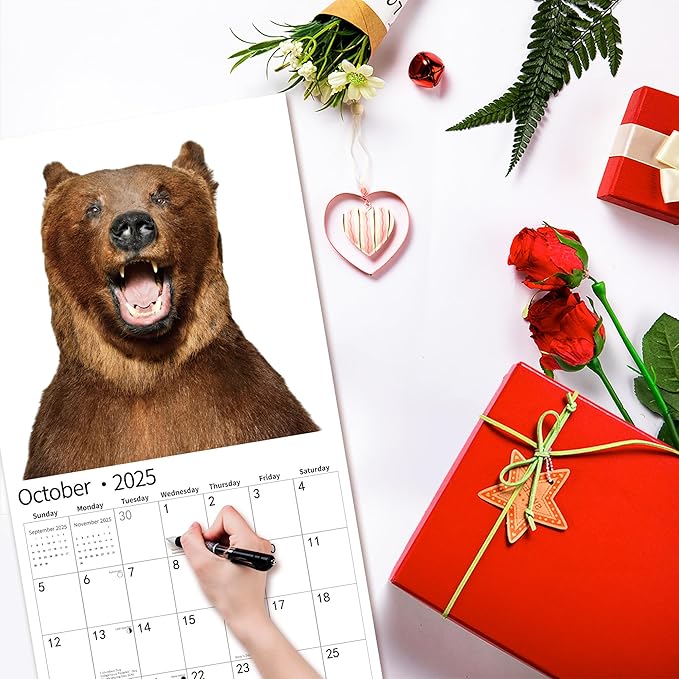 2025 Wall Calendar,Funny Calendar 2025, November 2024 - December 2025, Wall Calendar Funny Animal Memes, 12" x 24" Opened, Full Page 14 Months Thick Paper for Gift Calendar Organizing Planning
