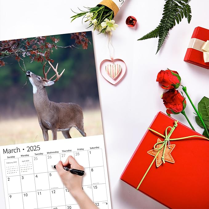 2025 Wall Calendar,Calendar 2025, November 2024 - December 2025, Wall Calendar Whitetail Deer, 12" x 24" Opened,Full Page Months Thick & Sturdy Paper for Gift Perfect Calendar Organizing & Planning