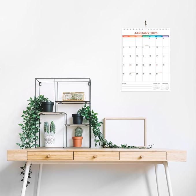 2025 Calendar - Wall Calendar 2025 from January 2025 - December 2025, 12 Months Calendar with Twin-Wire Binding & Hanging Hook, 8.5" x 11", Vertical Calendar, Colorful