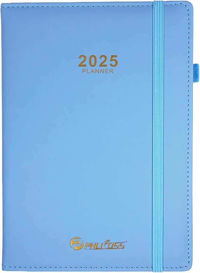 2025 Appointment Book/Planner, One Page Per Day, Jan - Dec 2025, Annual Daily Monthly Agenda Planner with Hourly Schedule and Monthly Tabs, 5.7" x 8.3" Calendar Planner (5-Sky Blue)