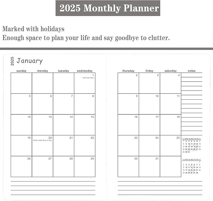 2025 Appointment Book/Planner, One Page Per Day, Jan - Dec 2025, Annual Daily Monthly Agenda Planner with Hourly Schedule and Monthly Tabs, 5.7" x 8.3" Calendar Planner (5-Sky Blue)