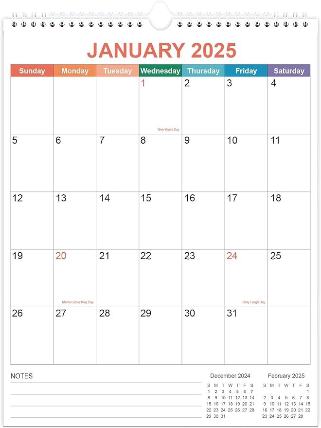 2025 Calendar - Wall Calendar 2025 from January 2025 - December 2025, 12 Months Calendar with Twin-Wire Binding & Hanging Hook, 8.5" x 11", Vertical Calendar, Colorful