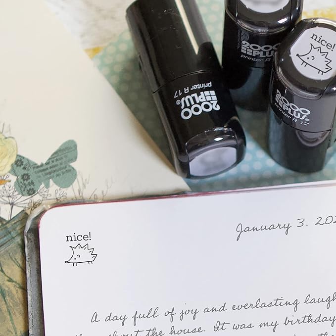 Nice! Hedgehog Stamp / 2000 Plus Self Inking Teacher Stamp/Black Imprint Stamper/School Worksheet Stamp