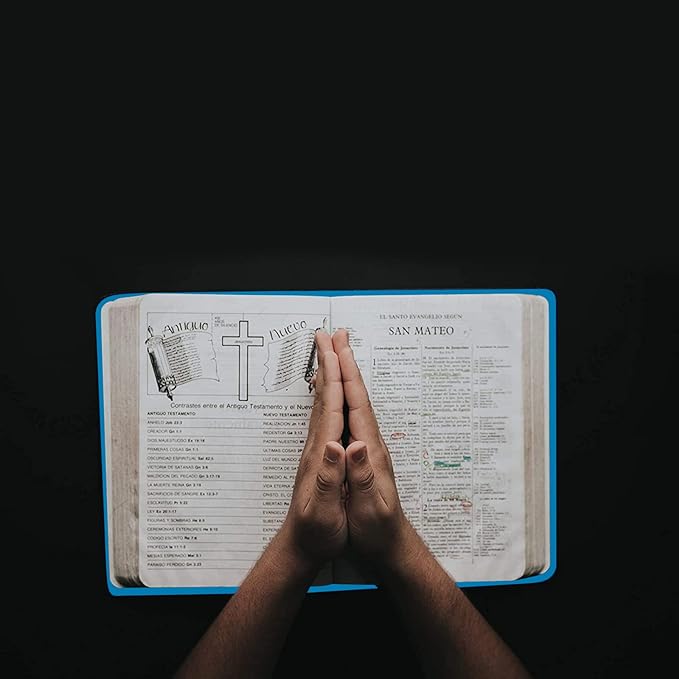 2 Pack Stretchable Book Sleeve Covers, for Paperbacks Hardcover Textbooks up to 9" x 12", Office Supplies with Free Sticker Labels (2 Pack, Light Blue)