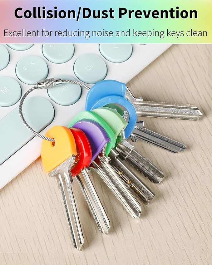 Vibit 48 Pack Key Cap Tags Set in 8 Assorted Colors Plastic Key Identifier Coding Label Covers for Standard Flat House Keys, 2 Styles