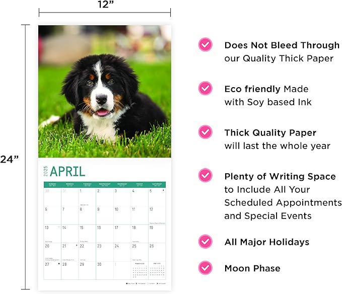 2025 Puppies Monthly Wall Calendar by Bright Day, Includes Over 300 Stickers, 12 x 12 Inch