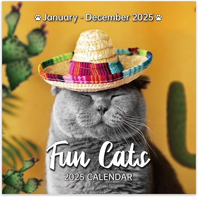2025 Wall Calendar - January 2025 - December 2025, Funny Cat Calendar 2025, Wall Calendar Gag Gift, Funny Cat Memes Pics, 12'' x 24'' (Open), Funny Cat Calendar, Unruled Block, Hanging Hole, Holidays