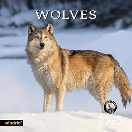 2025 Wall Calendar,Calendar 2025, November 2024 - December 2025, Wall Calendar Wolves, 12" x 24" Opened,Full Page Months Thick & Sturdy Paper for Calendar Organizing & Planning