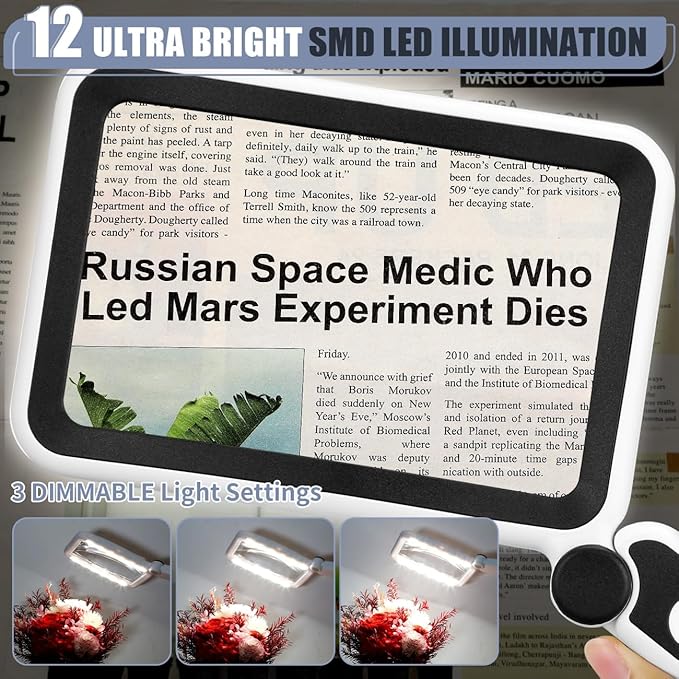 Magnifying Glass for Reading, Rechargeable 5X Large Page Magnifier with Light, Folding Handheld Dimmable Rectangle Lighted Magnifier for Reading Book Small Print for Seniors Low Vision, Black White