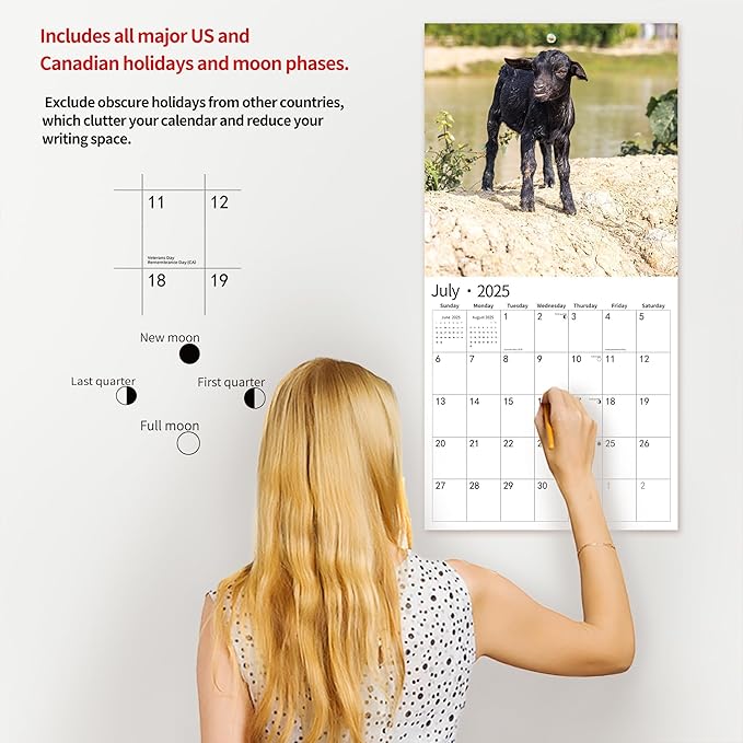 2025 Wall Calendar,Calendar 2025, November 2024 - December 2025, Wall Calendar Baby Goats, 12" x 24" Opened,Full Page Months Thick & Sturdy Paper for Calendar Organizing & Planning