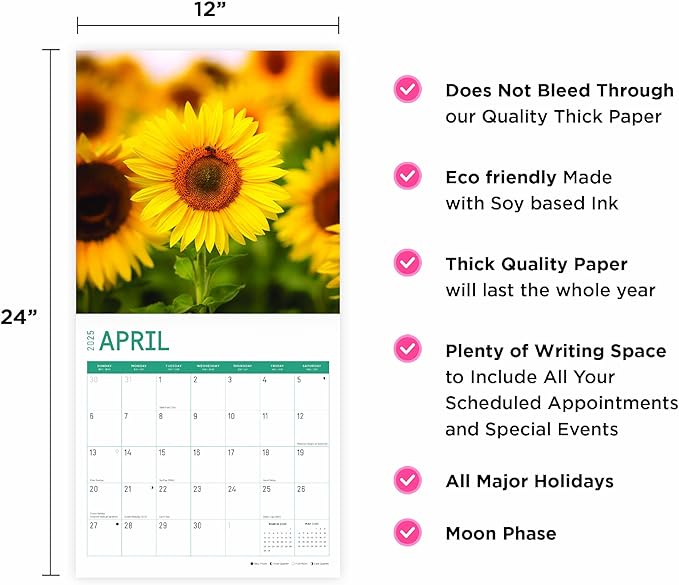 2025 Sunflowers Monthly Wall Calendar by Bright Day, Includes Over 300 Stickers, 12 x 12 Inch