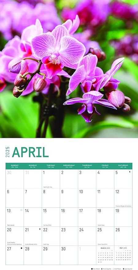 2025 Flowers Monthly Wall Calendar by Bright Day, Includes Over 300 Stickers, 12 x 12 Inch