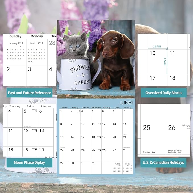 2025 Wall Calendar,Calendar 2025,Kittens & Puppies Monthly Wall Calendar, 12" x 24" Open,Family Planner Calendar Organizer with Cute kittens & Puppies Images, for Cat & Dogs Lovers