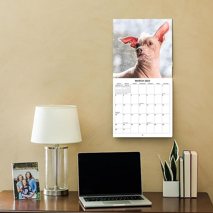 2025 Ugly Dogs Monthly Wall Calendar | Hilarious Gag Gift for Dog Lovers | Funny Dogs White Elephant Gift Calendar