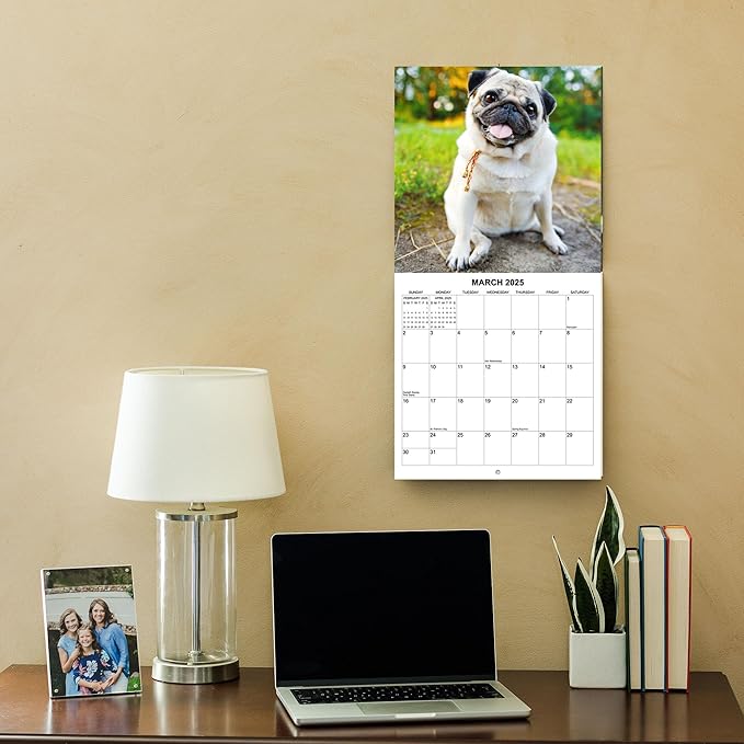 2025 Pugs Monthly Wall Calendar | 12" x 24" | Thick Sturdy Paper | Dog Calendar 2024-2025 (Pugs)