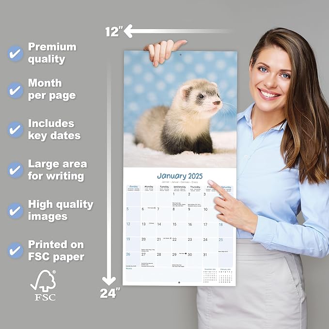 2025 Ferrets Wall Calendar, 12X12, Avonside Publishing