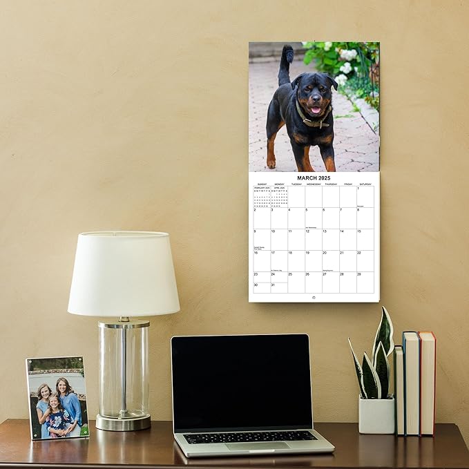 2025 Rottweilers Monthly Wall Calendar | 12" x 24" | Thick Sturdy Paper | Dog Calendar 2024-2025