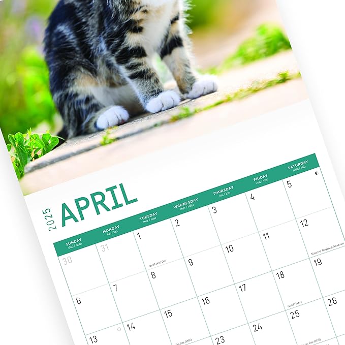 2025 Kittens Monthly Wall Calendar by Bright Day, Includes Over 300 Stickers, 12 x 12 Inch