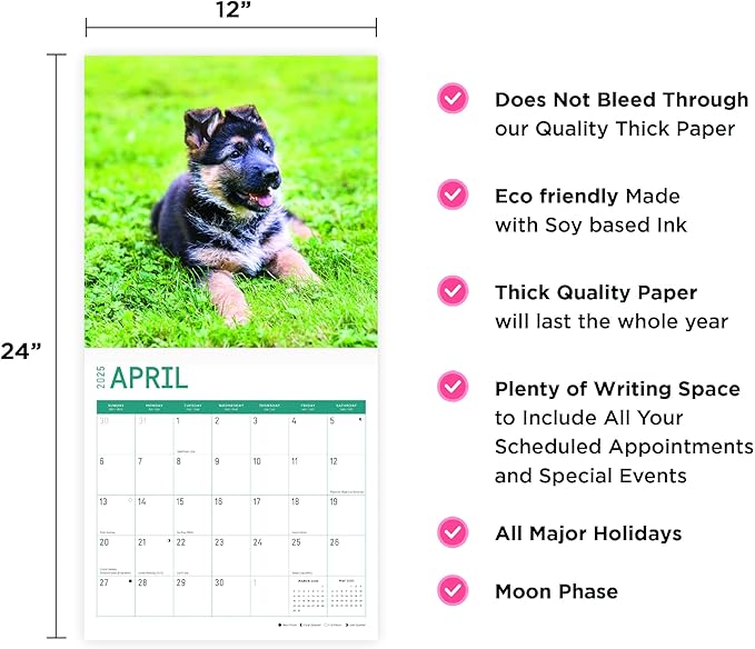 2025 German Shepherds Monthly Wall Calendar by Bright Day, Includes Over 300 Stickers, 12 x 12 Inch