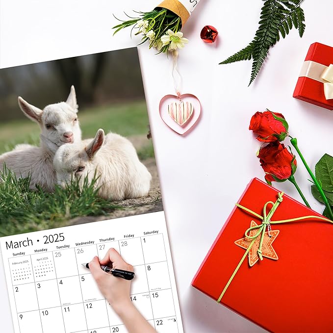 2025 Wall Calendar,Calendar 2025, November 2024 - December 2025, Wall Calendar Baby Goats, 12" x 24" Opened,Full Page Months Thick & Sturdy Paper for Calendar Organizing & Planning