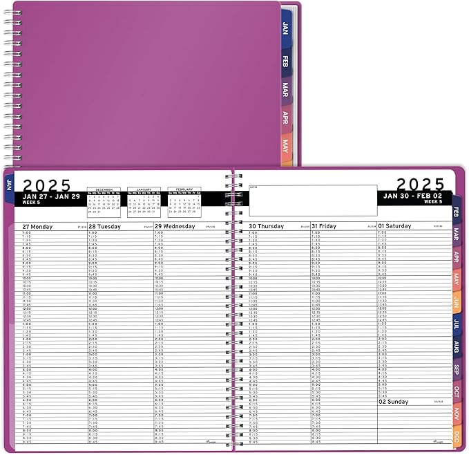 2025 Appointment Book & Planner- Ensight 8.5 x 11 inches Large Tabbed Daily Hourly Weekly Planner Calendar & Schedule Book 15-Minute time Slots, Business & Personal Planner Jan 2025- Dec 2025- Magenta
