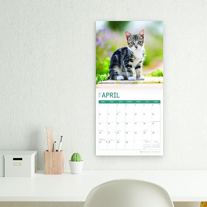 2025 Kittens Monthly Wall Calendar by Bright Day, Includes Over 300 Stickers, 12 x 12 Inch