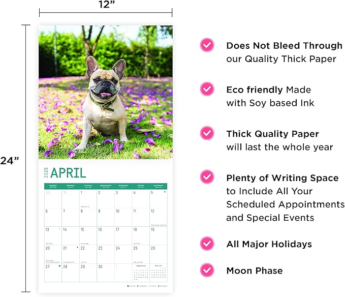 2025 French Bulldogs Monthly Wall Calendar by Bright Day, 12 x 12 Inch Cute Dog Breed Gift