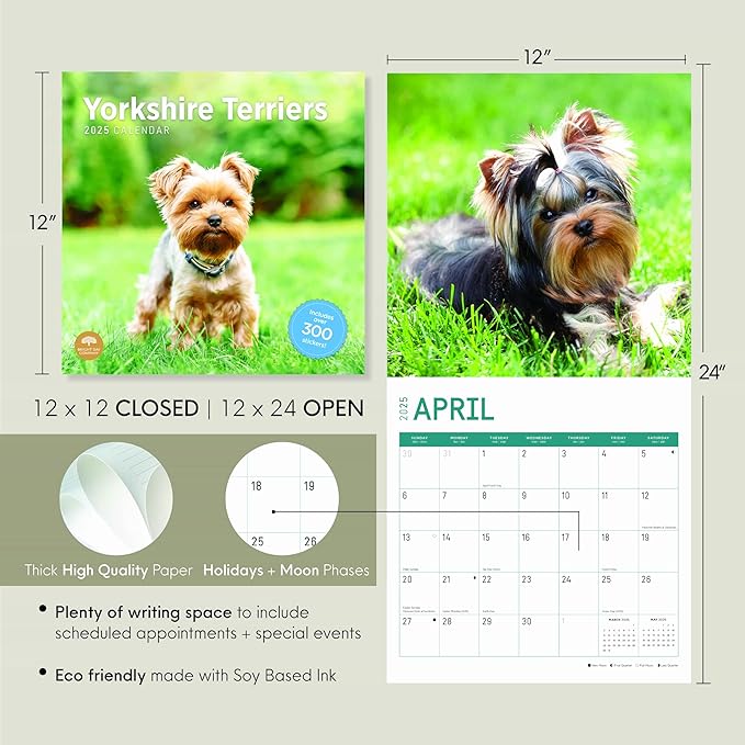 2025 Yorkshire Terriers Monthly Wall Calendar by Bright Day, Includes Over 300 Stickers, 12 x 12 Inch