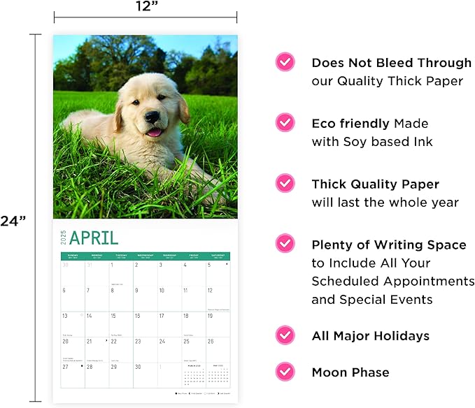 2025 Golden Retrievers Monthly Wall Calendar by Bright Day, Includes Over 300 Stickers, 12 x 12 Inch