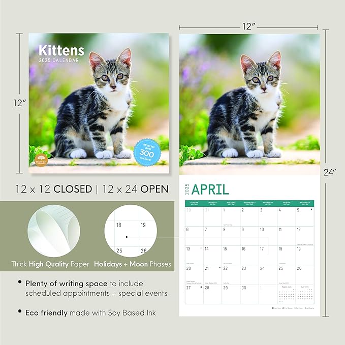 2025 Kittens Monthly Wall Calendar by Bright Day, Includes Over 300 Stickers, 12 x 12 Inch