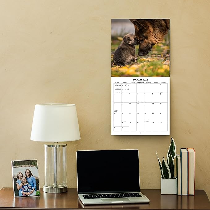 2025 German Shepherds Monthly Wall Calendar | 12" x 24" | Thick Sturdy Paper | Dog Calendar 2024-2025