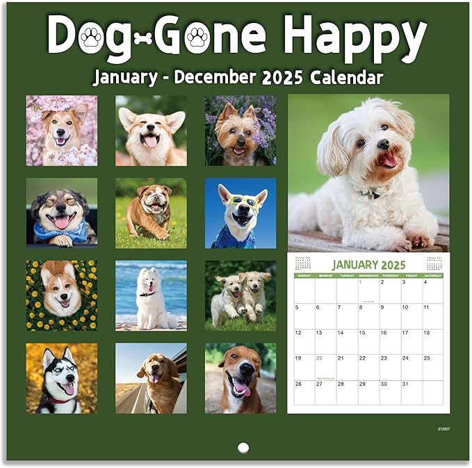 2025 Wall Calendar - Funny Dogs Wall Calendar 2025, 12" x 24" (Open), Cute Calendar 2025, Jan. 2025 - Dec. 2025, 12-Month Calendar, Thick Paper, Hanging Hole, Holidays, Unruled Blocks