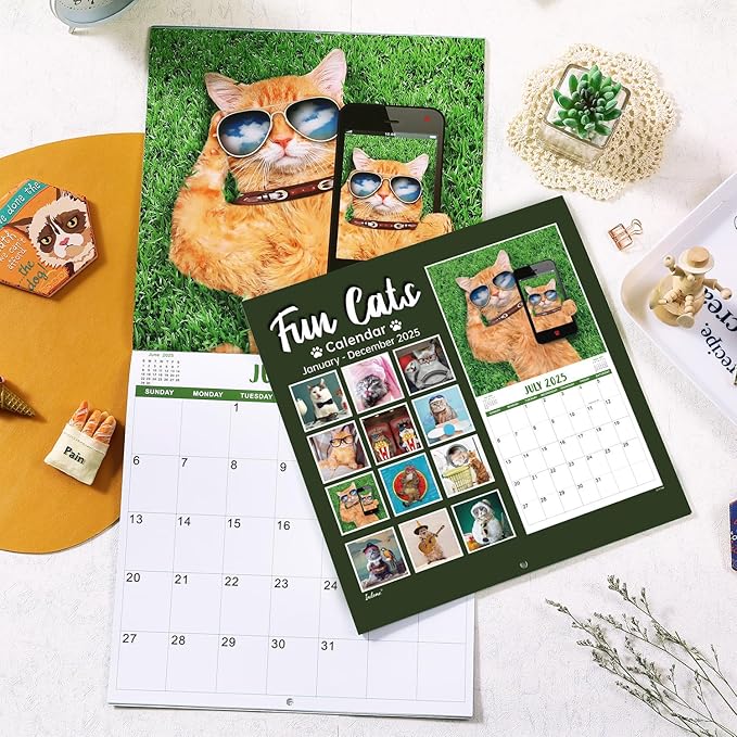 2025 Wall Calendar - January 2025 - December 2025, Funny Cat Calendar 2025, Wall Calendar Gag Gift, Funny Cat Memes Pics, 12'' x 24'' (Open), Funny Cat Calendar, Unruled Block, Hanging Hole, Holidays