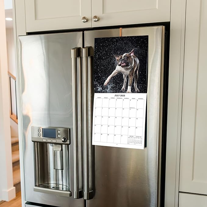 2025 Dogs Shaking it Up Monthly Wall Calendar - Dogs Making Funny Faces while Shaking Dry | 12" x 24" | Thick Sturdy Paper | Dog Calendar 2025