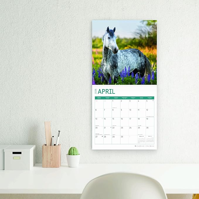 2025 Horses Monthly Wall Calendar by Bright Day, Includes Over 300 Stickers, 12 x 12 Inch