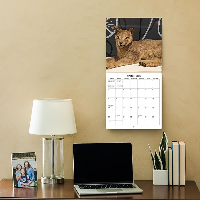 2025 Taxidermy Fails Monthly Wall Calendar - Funny Gag Gift | 12" x 24" | Bad Taxidermy Prank Gift Calendar 2025