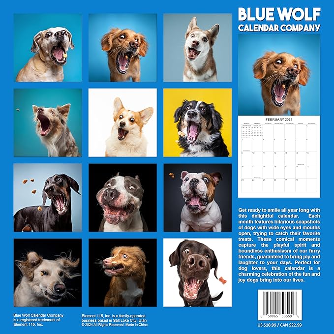 2025 Treat Time Monthly Wall Calendar - Dogs Making Funny Faces Trying to Catch Treats | 12" x 24" | Thick Sturdy Paper | Dog Calendar 2025