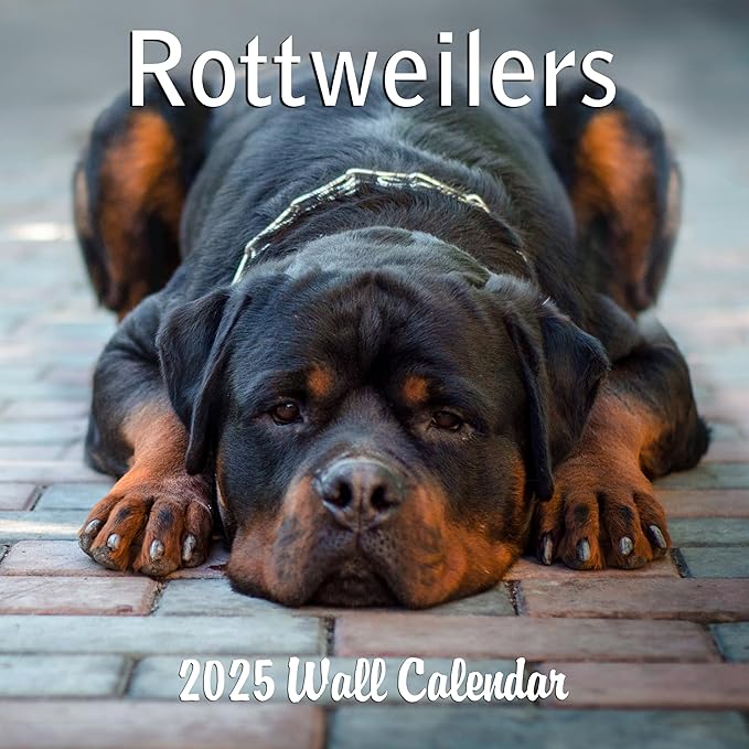 2025 Rottweilers Monthly Wall Calendar | 12" x 24" | Thick Sturdy Paper | Dog Calendar 2024-2025