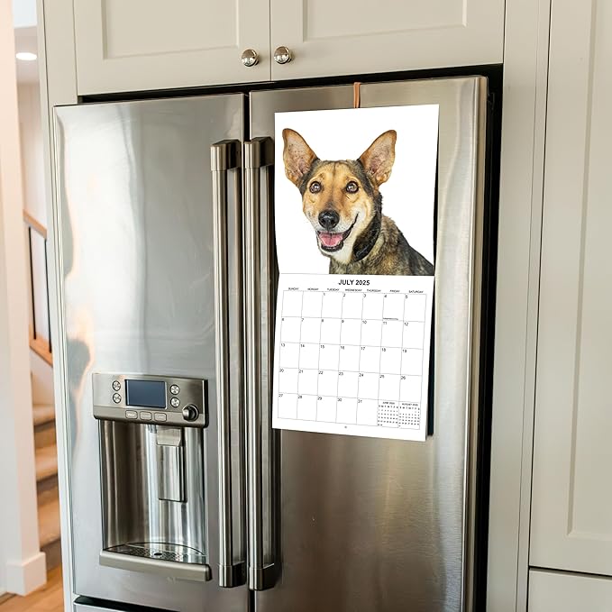 2025 Smiling Dogs Monthly Wall Calendar | 12" x 24" | Thick Sturdy Paper | Dog Calendar 2025