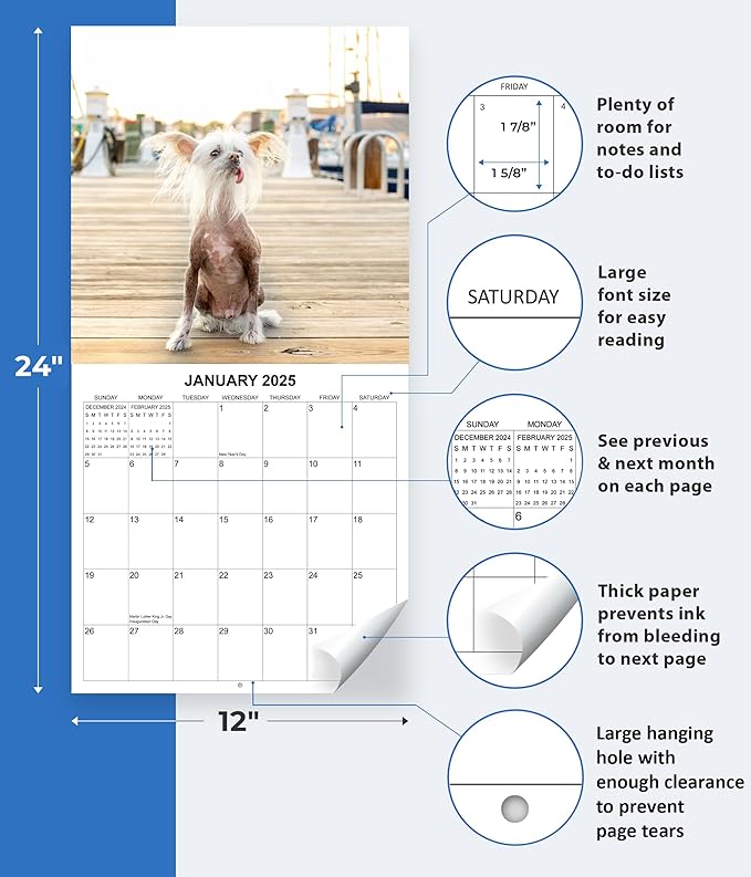 2025 Ugly Dogs Monthly Wall Calendar | Hilarious Gag Gift for Dog Lovers | Funny Dogs White Elephant Gift Calendar