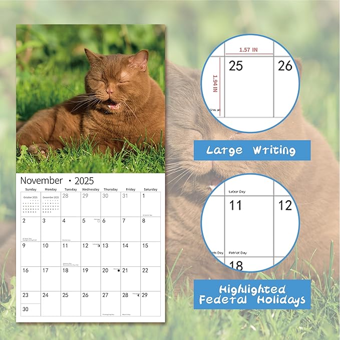 2025 Wall Calendar,Funny Calendar 2025, November 2024 - December 2025, Wall Calendar Funny Animal Memes, 12" x 24" Opened, Full Page 14 Months Thick Paper for Gift Calendar Organizing Planning
