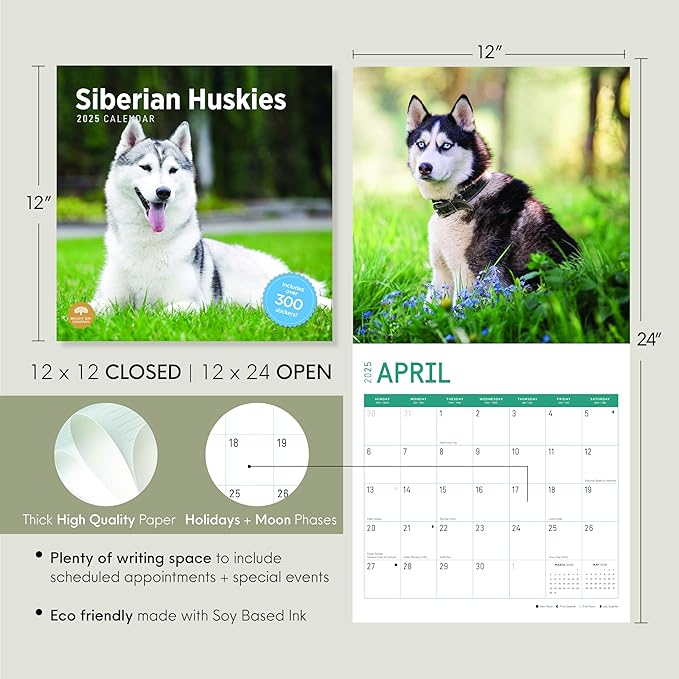2025 Siberian Huskies Monthly Wall Calendar by Bright Day, Includes Over 300 Stickers, 12 x 12 Inch
