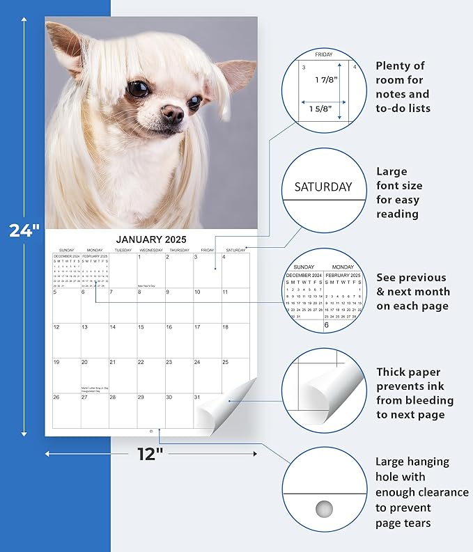 2025 Silly Dogs Monthly Wall Calendar | 12" x 24" | Thick Sturdy Paper | Funny Dog Calendar 2024-2025