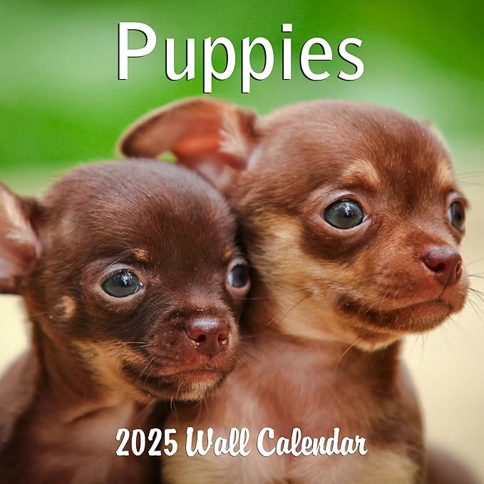 2025 Puppies Monthly Wall Calendar | 12" x 24" | Thick Sturdy Paper | Puppy Dog Calendar 2024-2025