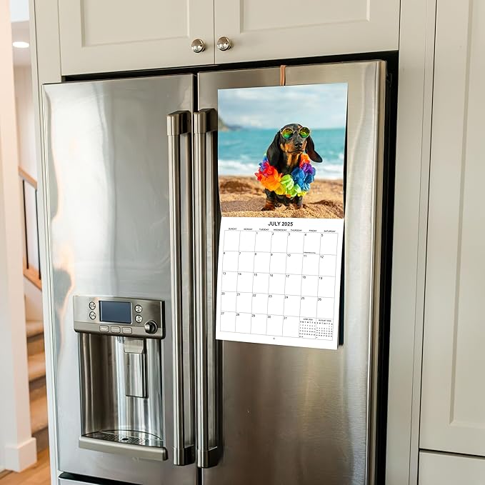 2025 Silly Dogs Monthly Wall Calendar | 12" x 24" | Thick Sturdy Paper | Funny Dog Calendar 2024-2025