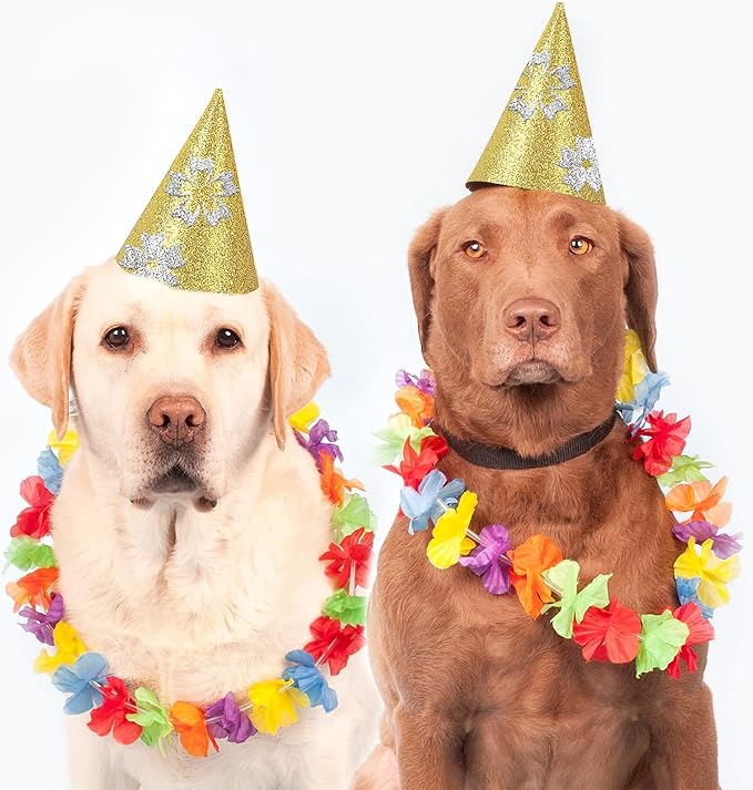 24 Sheets Colored Glitter Cardstock Paper, A4 Premium Sparkly Paper for Scrapbook, DIY Projects, Party Decoration, Gift Box Wrapping 250GSM/92lb