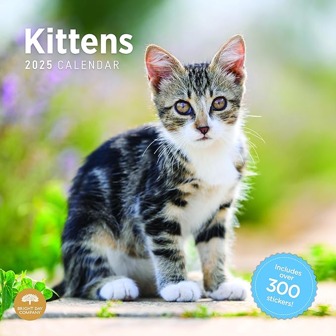 2025 Kittens Monthly Wall Calendar by Bright Day, Includes Over 300 Stickers, 12 x 12 Inch
