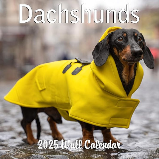 2025 Dachshund Weiner Dogs Monthly Wall Calendar | 12" x 24" | Thick Sturdy Paper | 2025 Wiener Dog Calendar