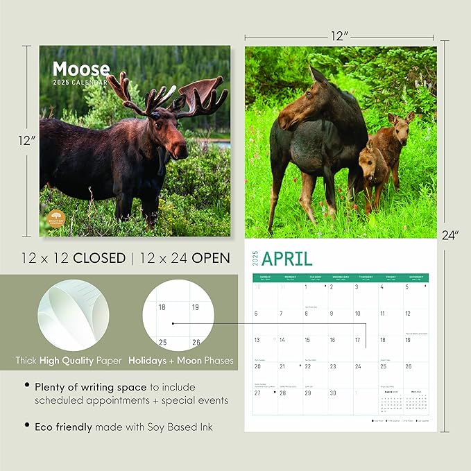 2025 Moose Monthly Wall Calendar by Bright Day, 12 x 12 Inch Cute Nature Photography Gift